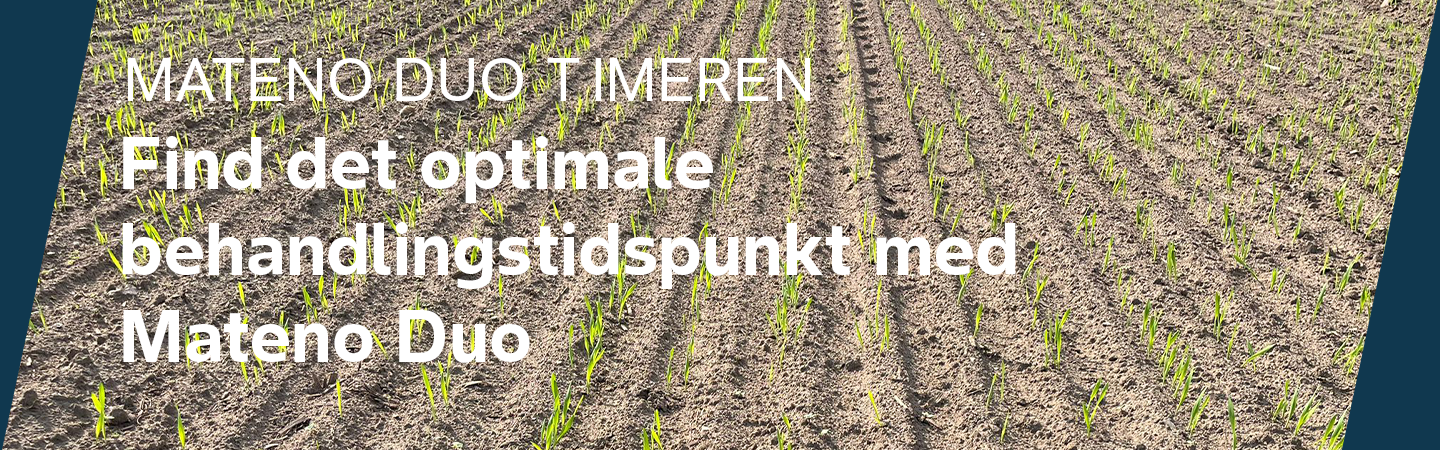 Key visual til Mateno Duo Timeren